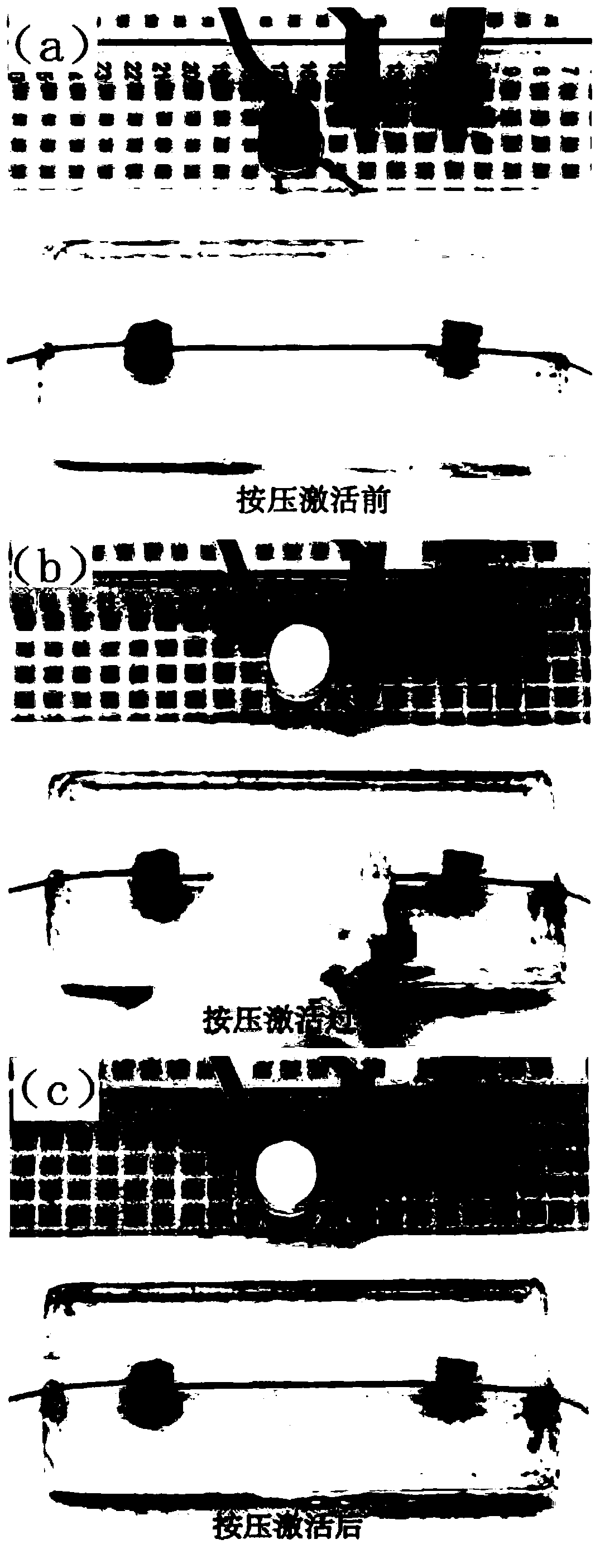 Liquid metal-macromolecule printable ink and preparation and printing methods thereof