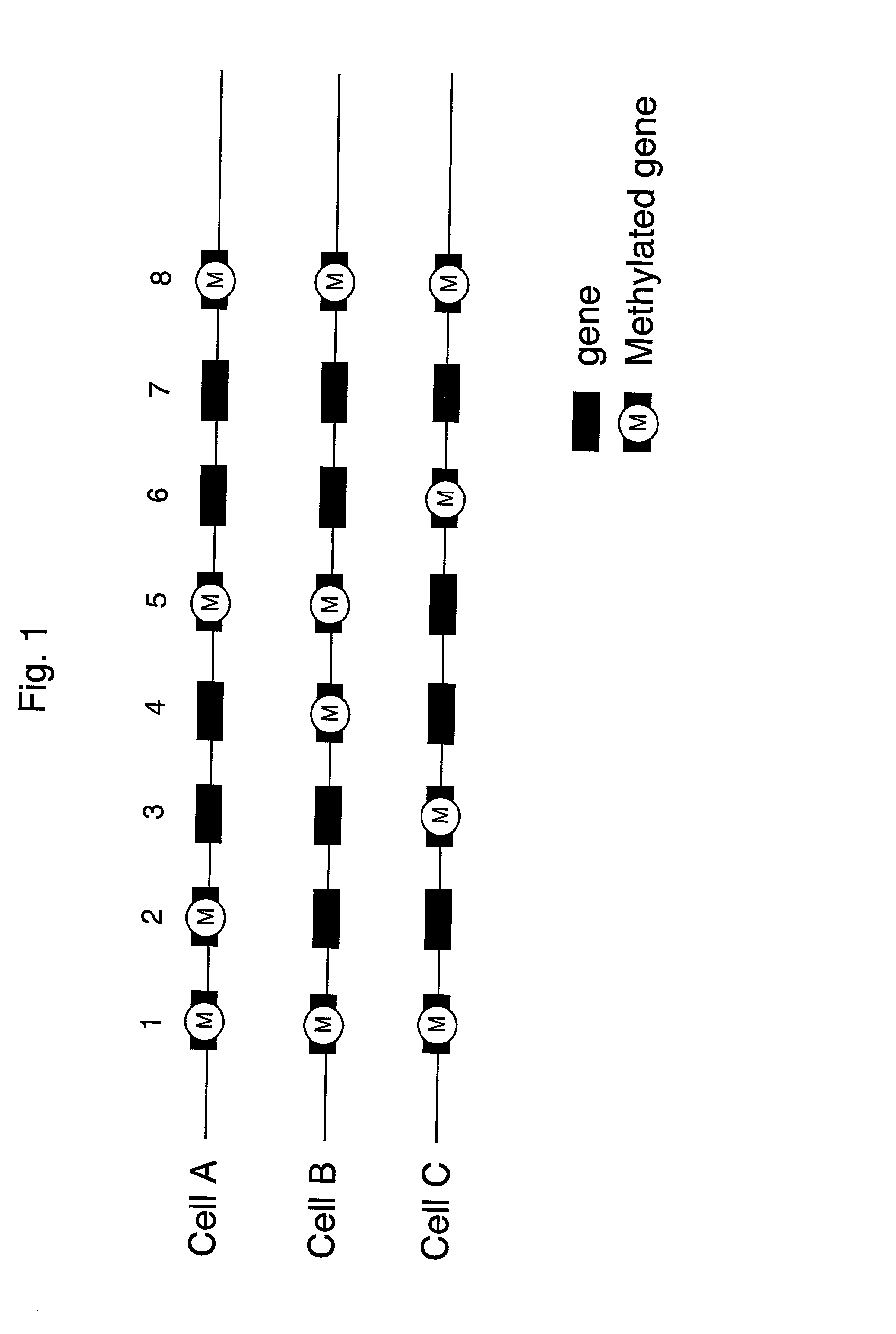 Method of identifying cells using DNA methylation patterns