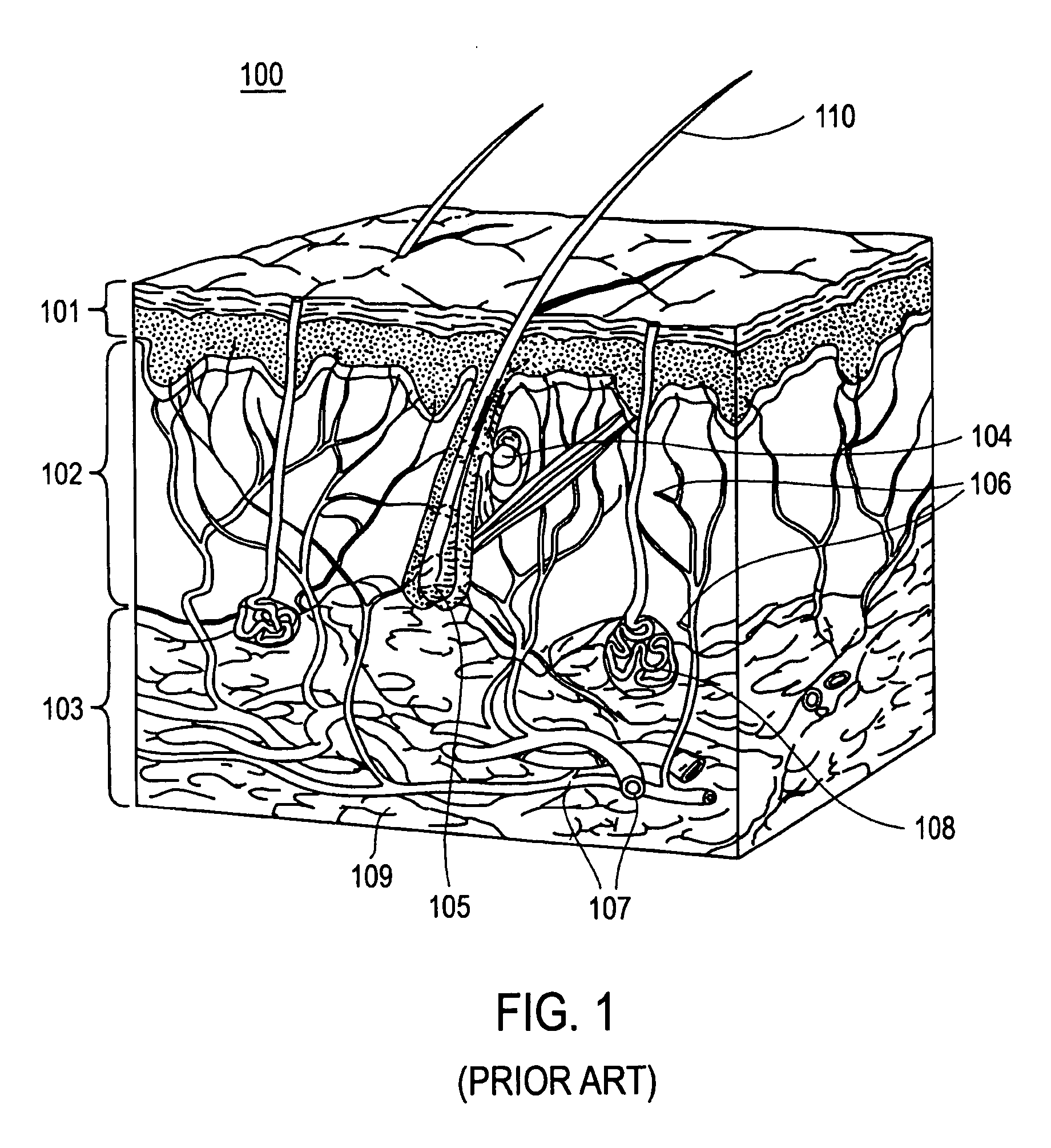 Apparatus and method to apply substances to tissue