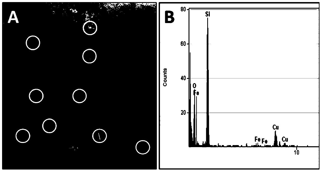 Method for preparing olefin, aromatic hydrocarbon and hydrogen through steam catalytic conversion of methane