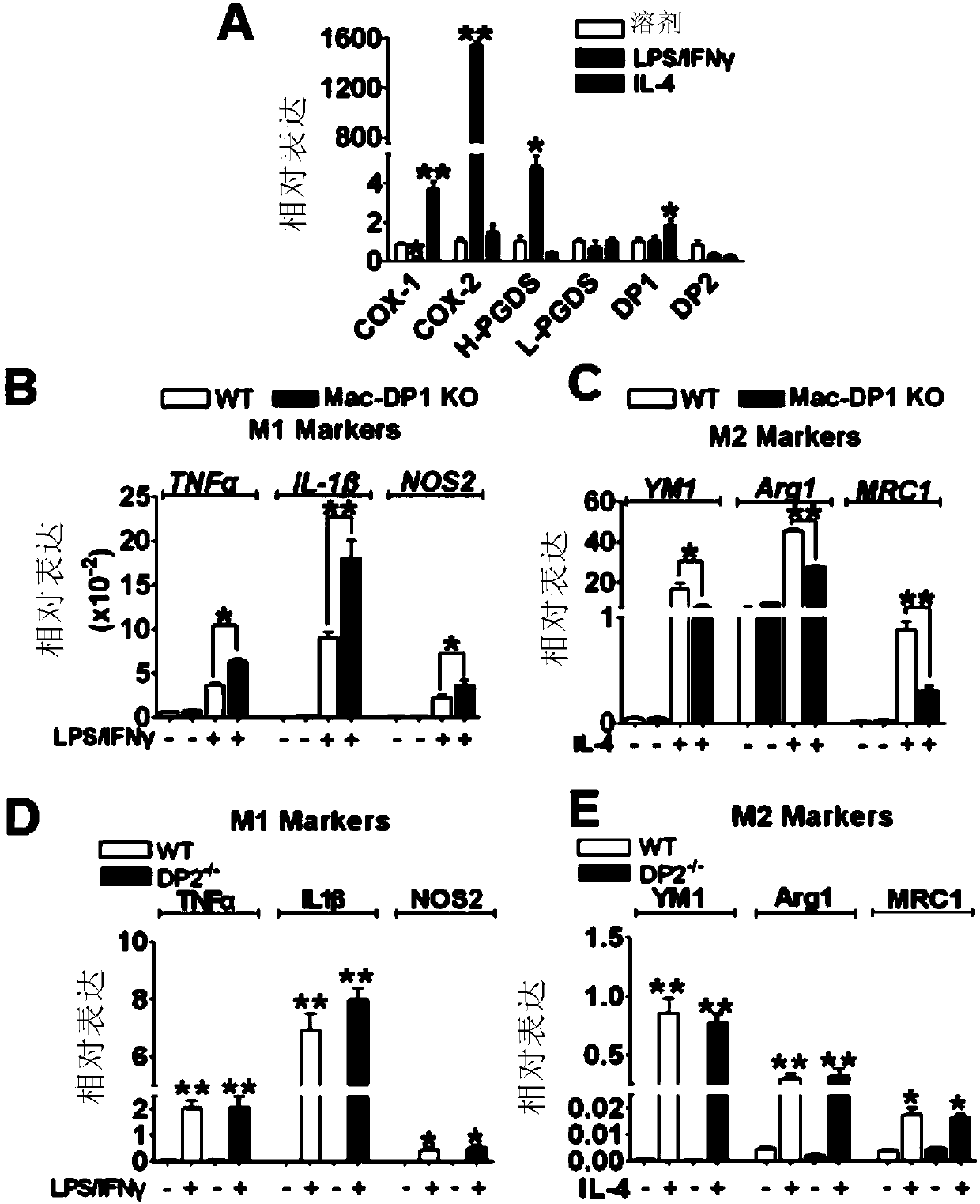 Application of PRKAR2A in inflammation diminishing