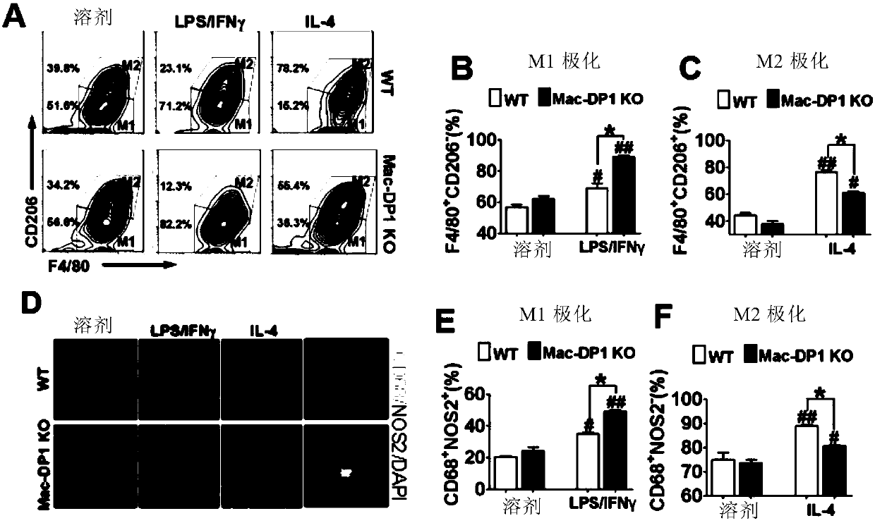 Application of PRKAR2A in inflammation diminishing