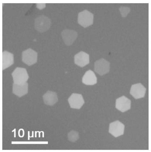 A method and product for preparing non-layered two-dimensional nano-cadmium sulfide crystal material