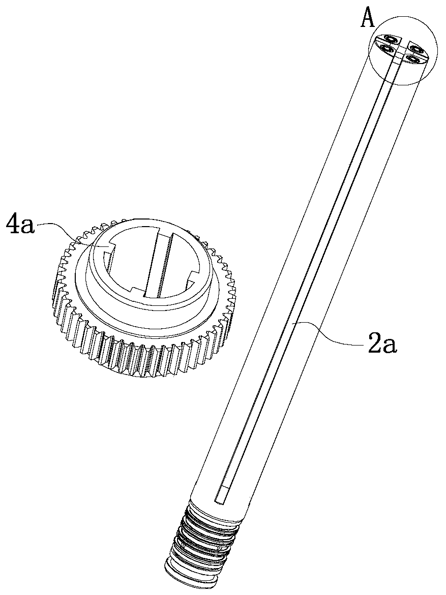 Water line mold