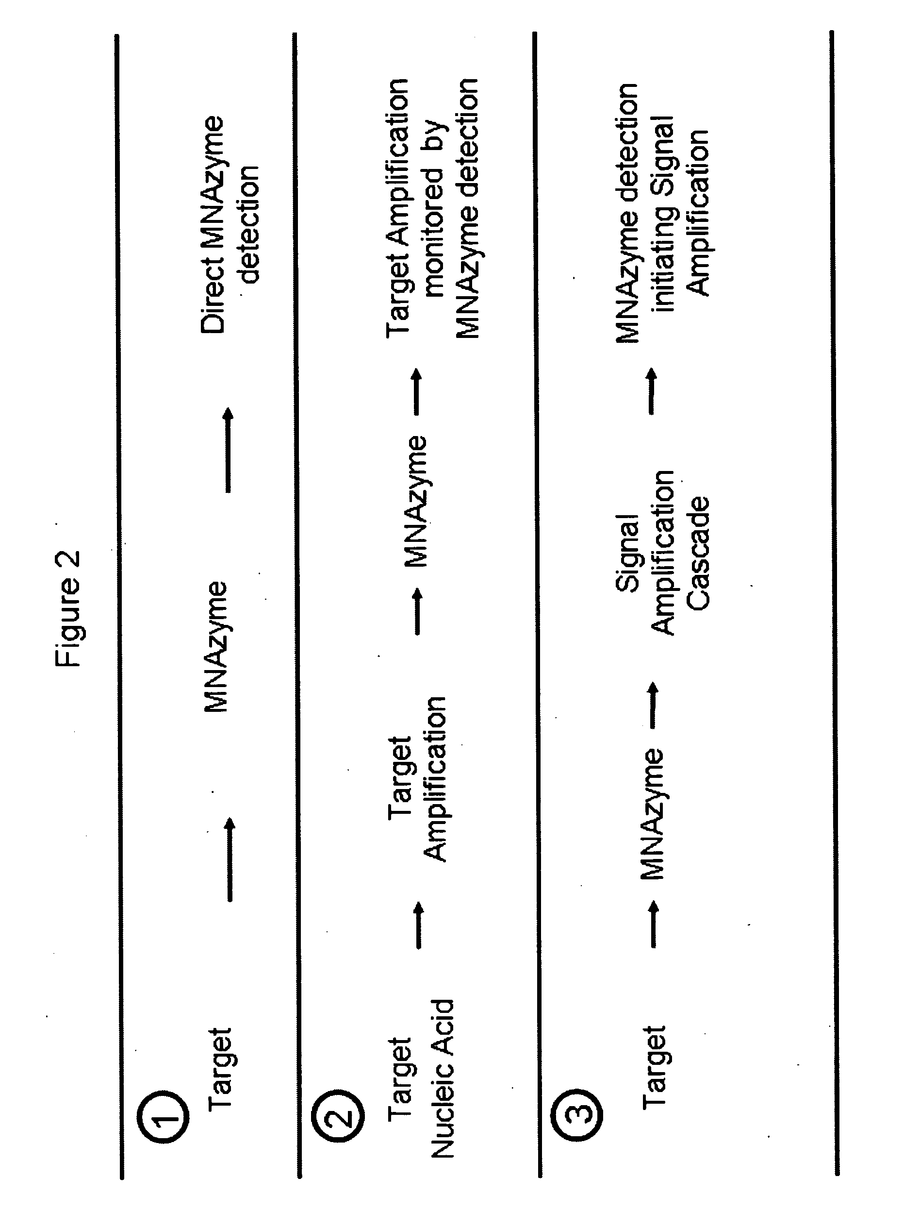Multicomponent nucleic acid enzymes and methods for their use