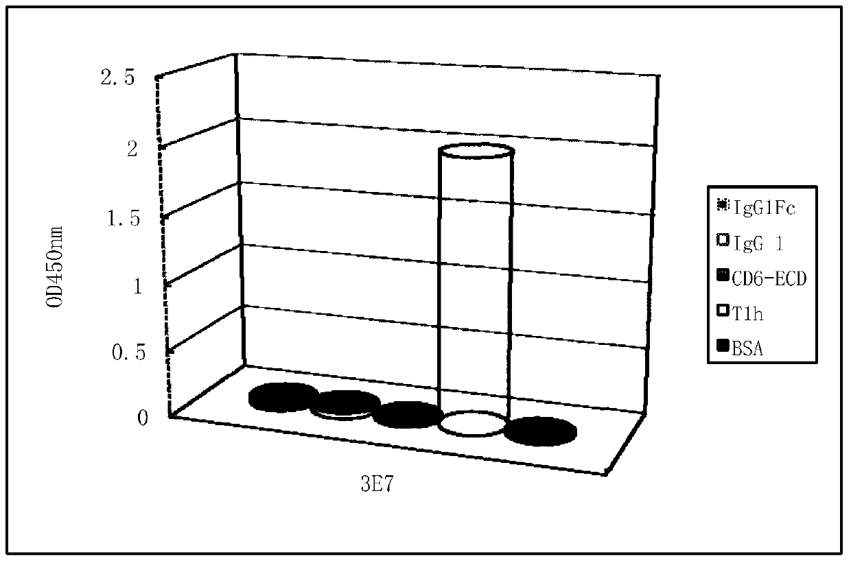 A detection antibody against CD6 monoclonal antibody t1h and its application