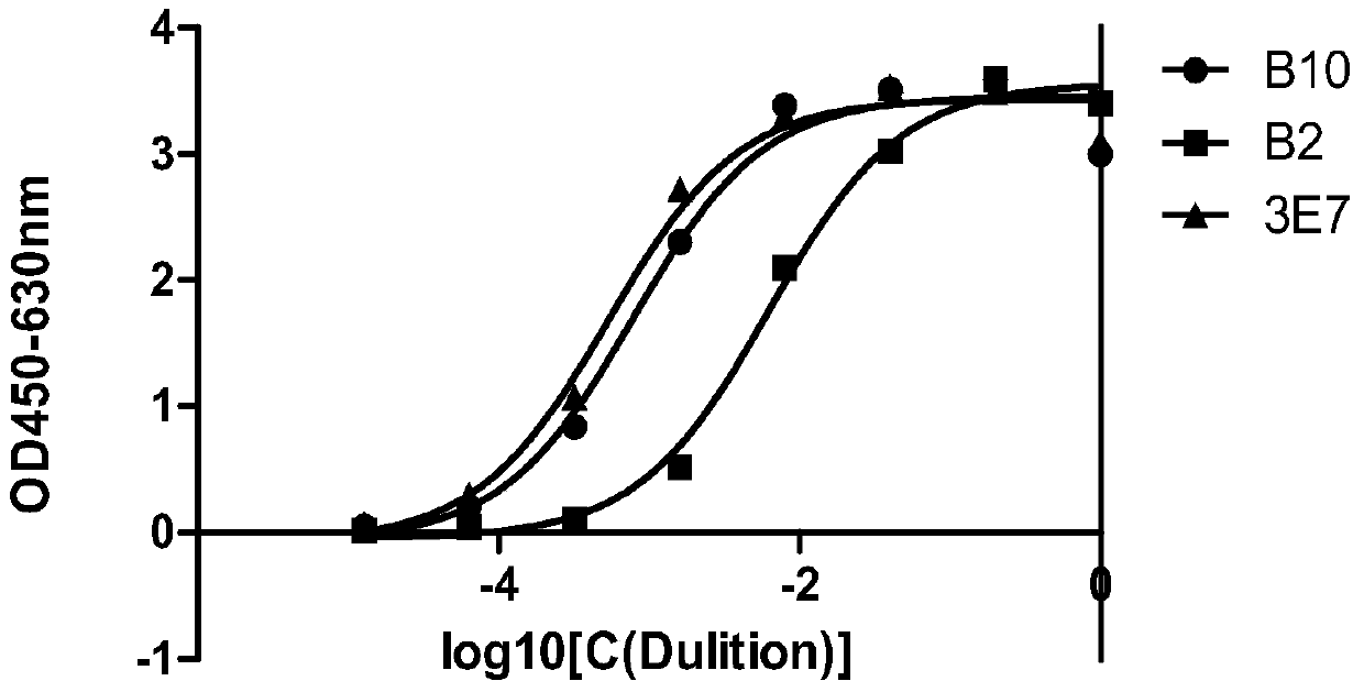 A detection antibody against CD6 monoclonal antibody t1h and its application