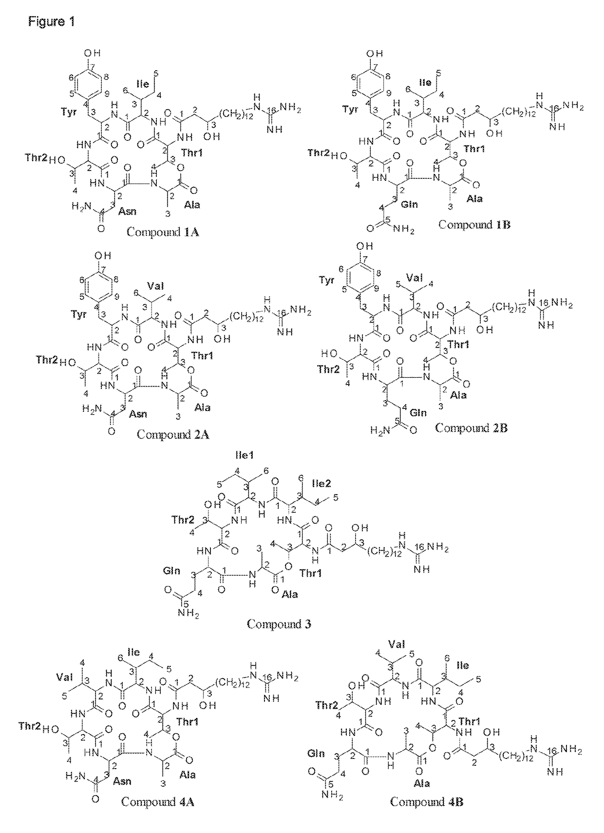 Antifungal paenibacillus strains, fusaricidin-type compounds, and their use