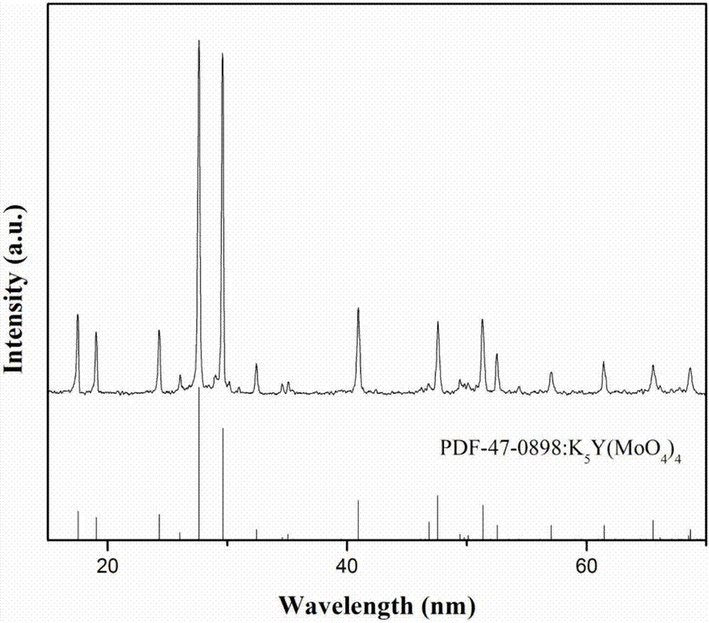 Rare earth europium activated molybdate-based red phosphor powder and preparation method thereof