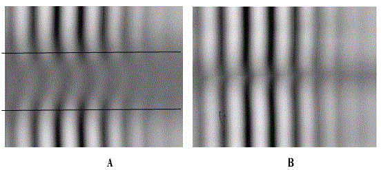 Optical interference gas detection system with air pressure balance device