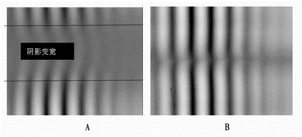 Optical interference gas detection system with air pressure balance device