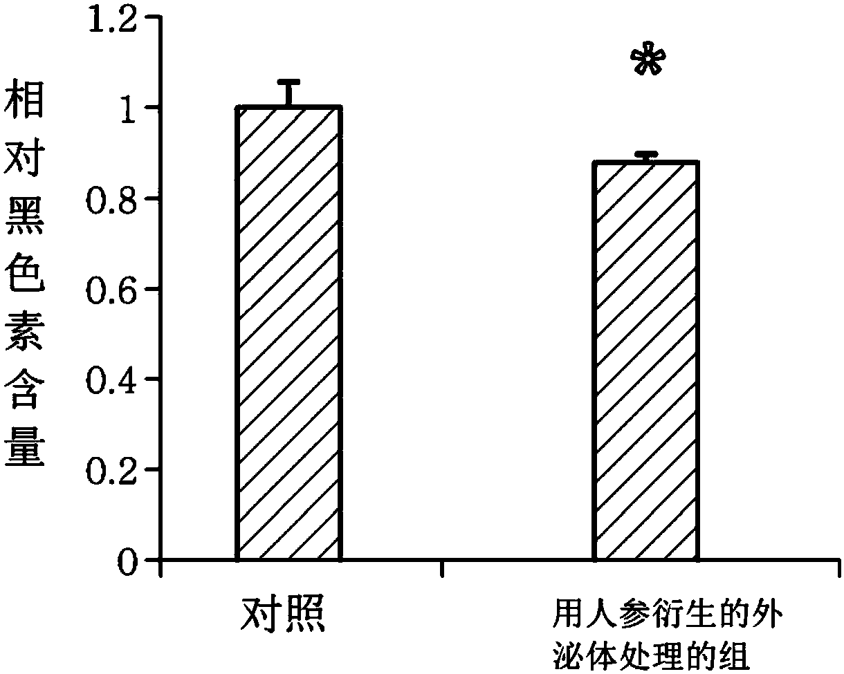 Composition comprising ginseng derived exosome like vesicles for skin whitening