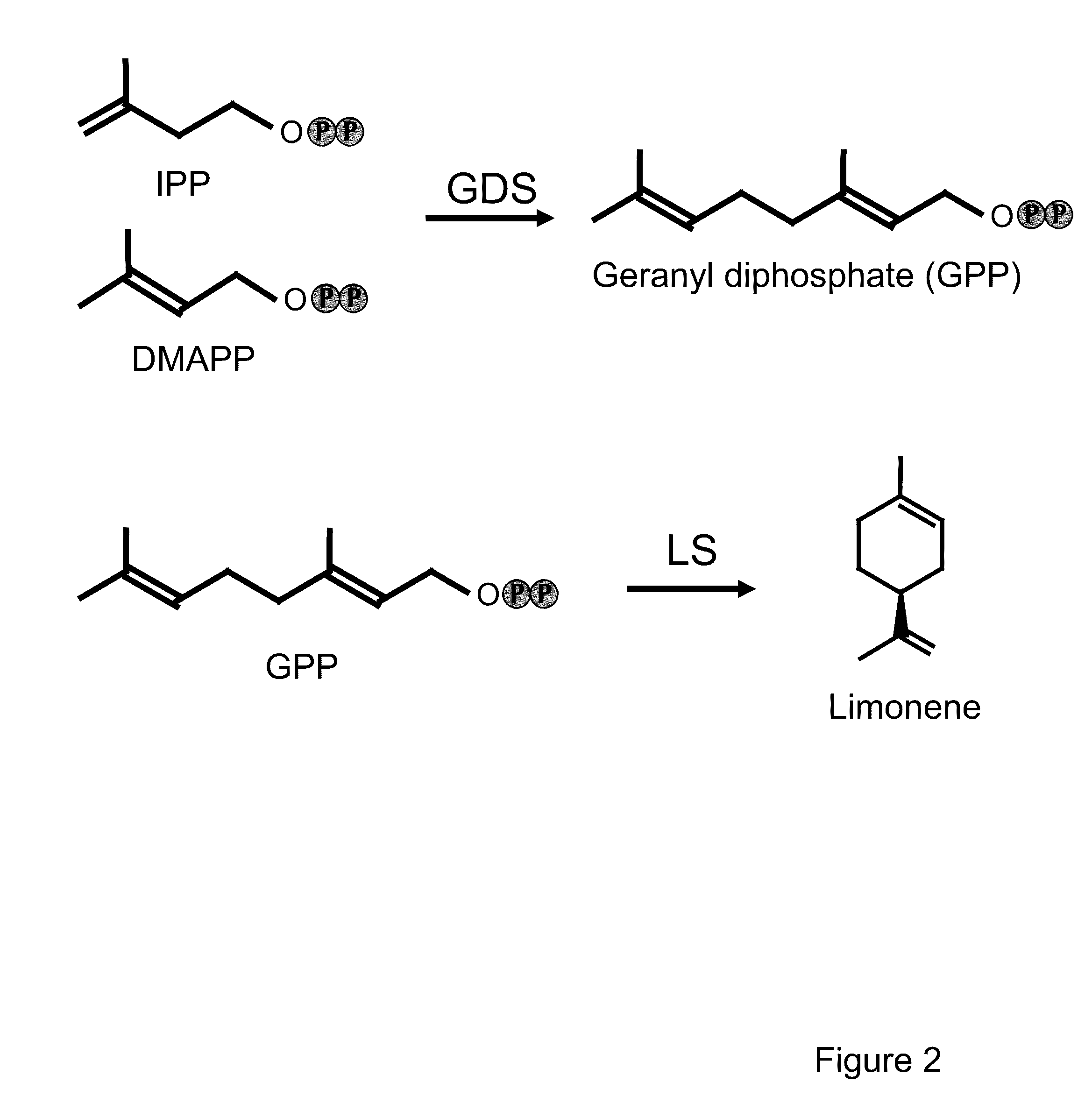 Methods for high yield production of terpenes