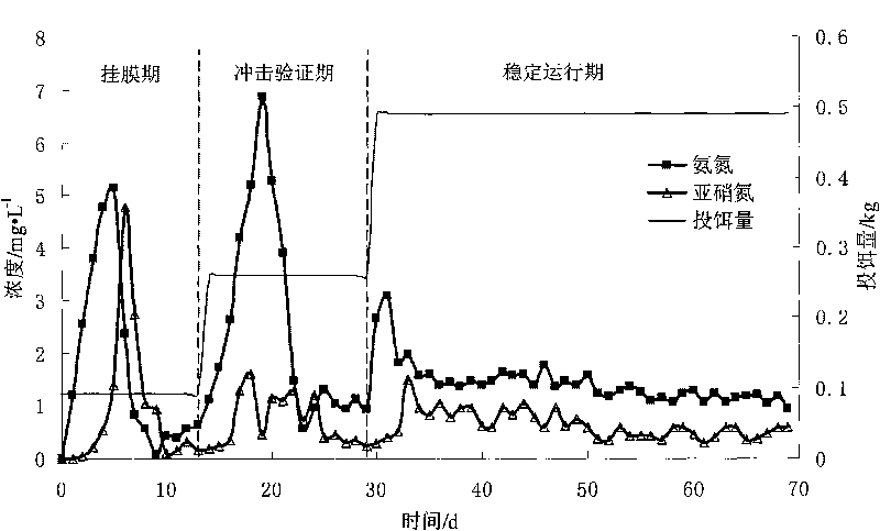 Biological purification method of aquiculture waste water and siphoning reciprocating type biological filter