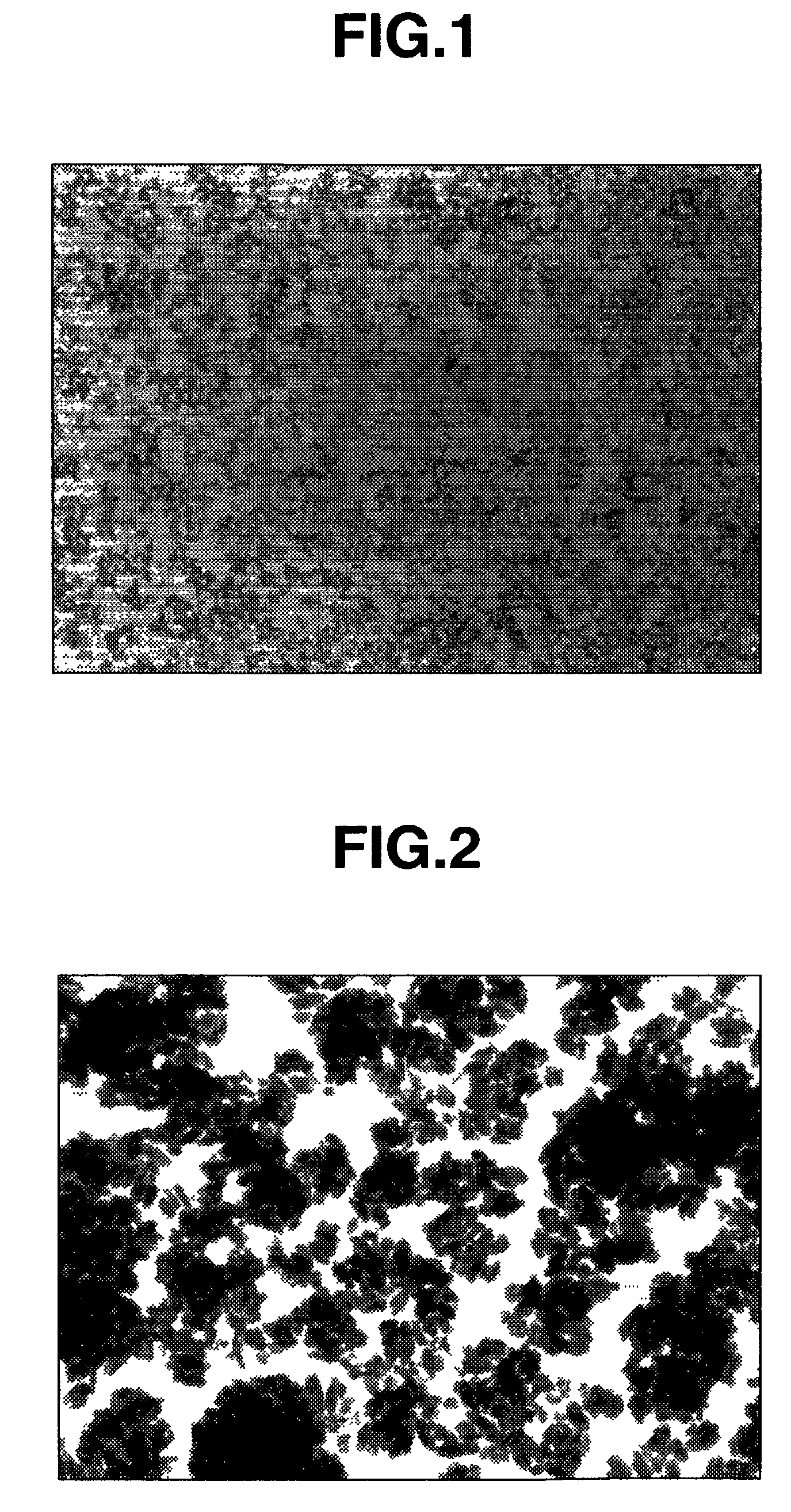 Coloring composition for color filter containing colorant and color filter using the same