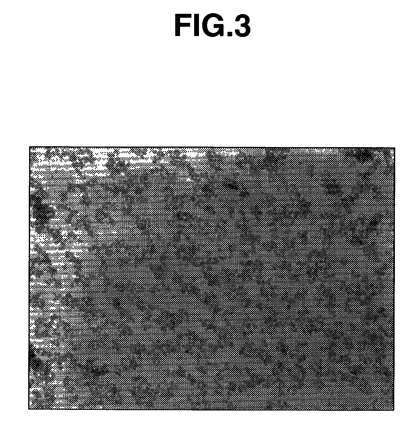 Coloring composition for color filter containing colorant and color filter using the same