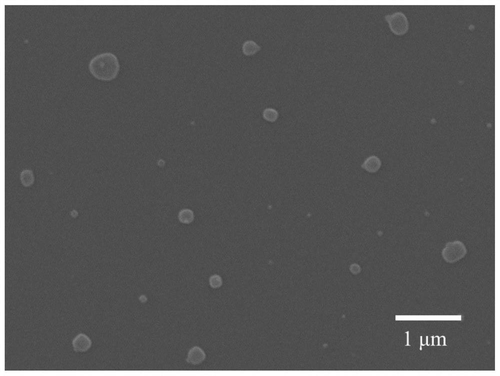 Hydrogel and preparation method thereof