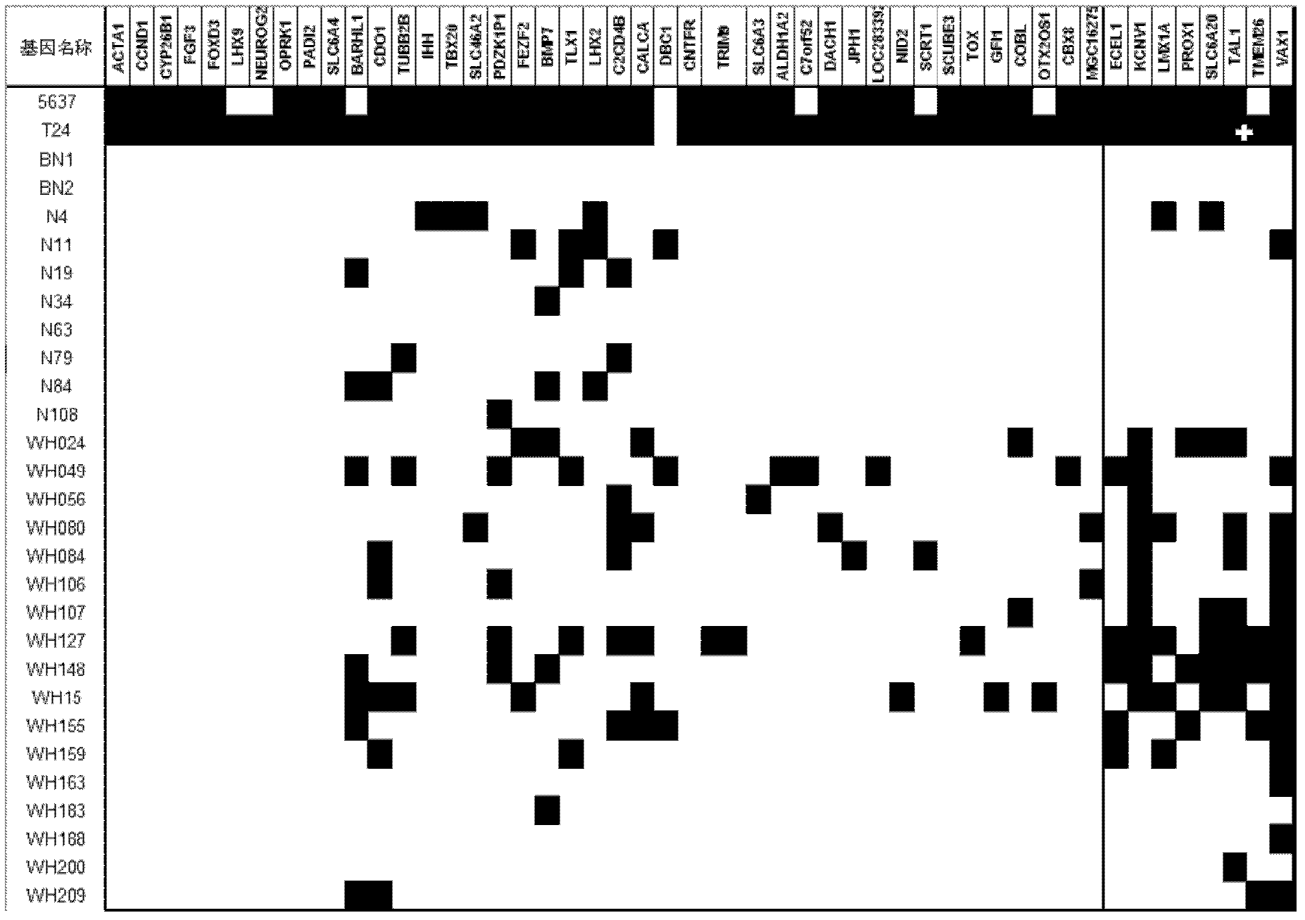 Method and kit for diagnosing bladder cancer with urine