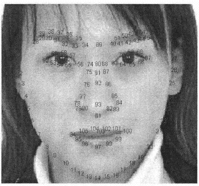 Sparse representation face identification method based on constrained sampling and shape feature