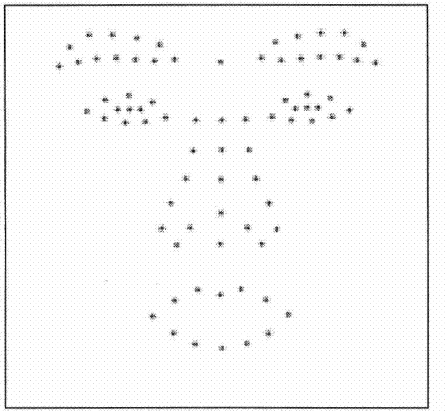 Sparse representation face identification method based on constrained sampling and shape feature