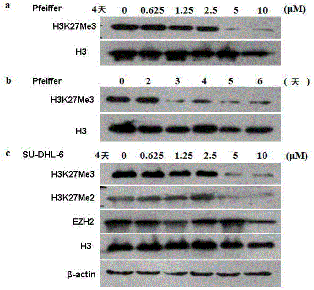 Pyridone derivatives and their preparation and use