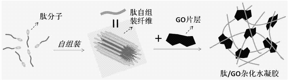 A kind of preparation method of high-strength polypeptide hydrogel