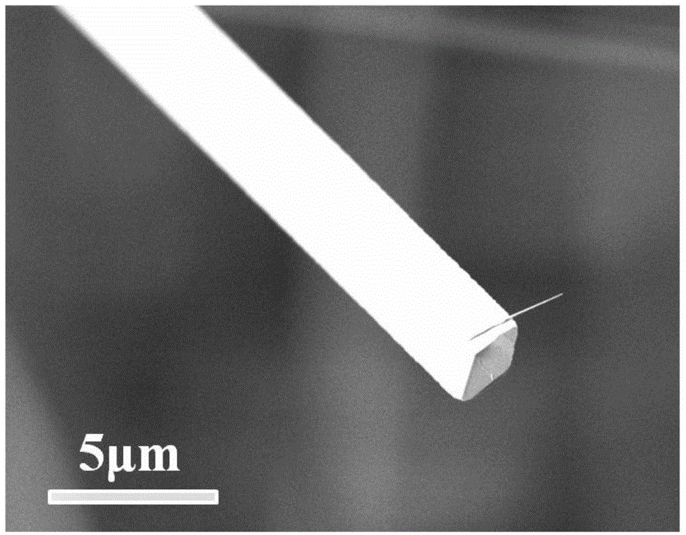 Preparation method of ZnO (zinc oxide) nanometer-micrometer rod with parallelogram cross section