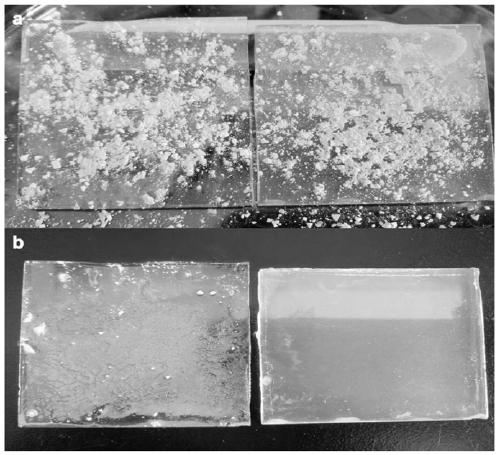 TiO2 composite hydrophobic icephobic coating and preparation method thereof
