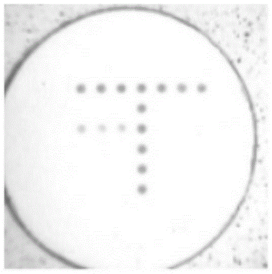 Gene chip and method for detecting pathogenic microorganisms of porcine epidemic disease