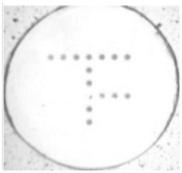 Gene chip and method for detecting pathogenic microorganisms of porcine epidemic disease