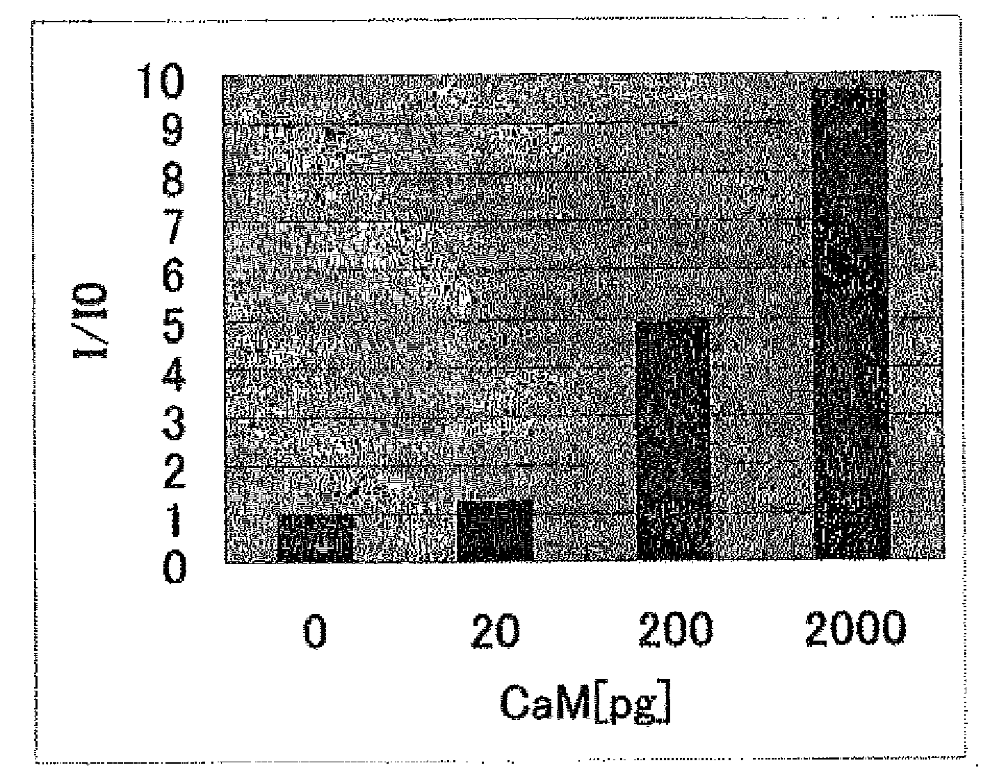 Substrate for biochip and biochip