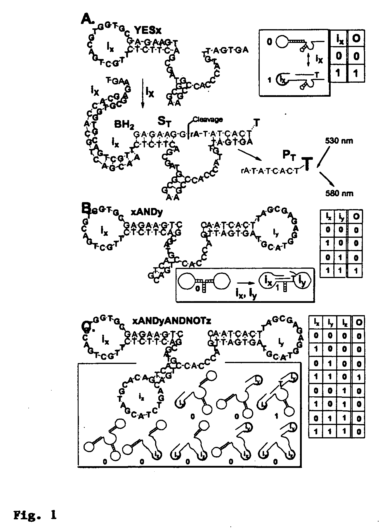 Medium scale intergration of molecular logic gates in an automaton