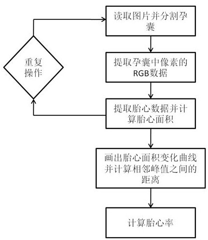 A method for calculating fetal heart rate in the first trimester of pregnancy based on upper-color blood flow diagram in b-ultrasound detection