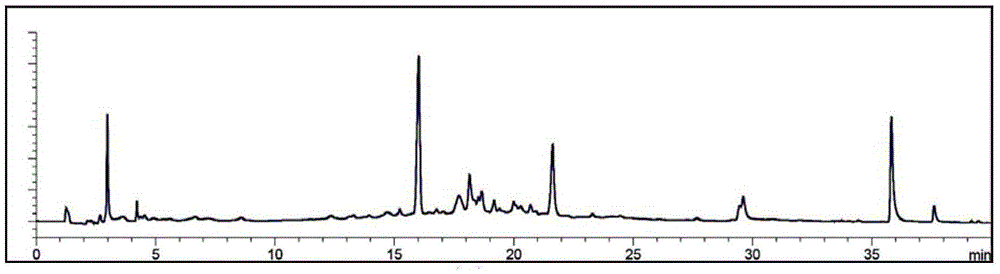 Composition comprising an extract of combined herb or the processed extract thereof and used for preventing hair loss and treating hair loss, and the use thereof.