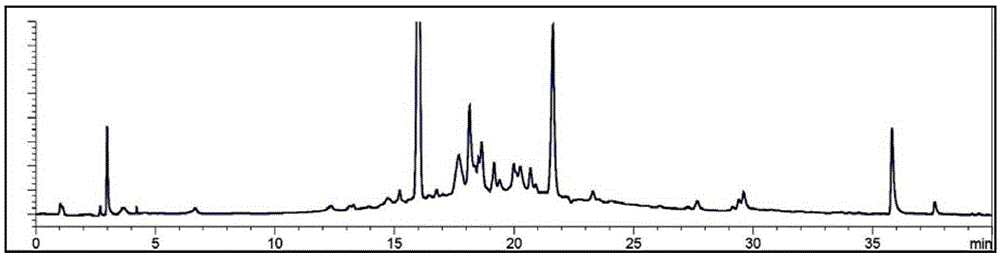 Composition comprising an extract of combined herb or the processed extract thereof and used for preventing hair loss and treating hair loss, and the use thereof.