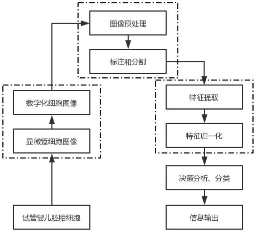 A Method for Embryo Tissue Segmentation Based on Generative Adversarial Networks