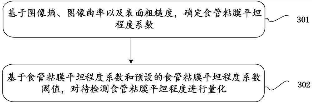 Method, device, terminal and storage medium for quantifying the flatness of esophageal mucosa