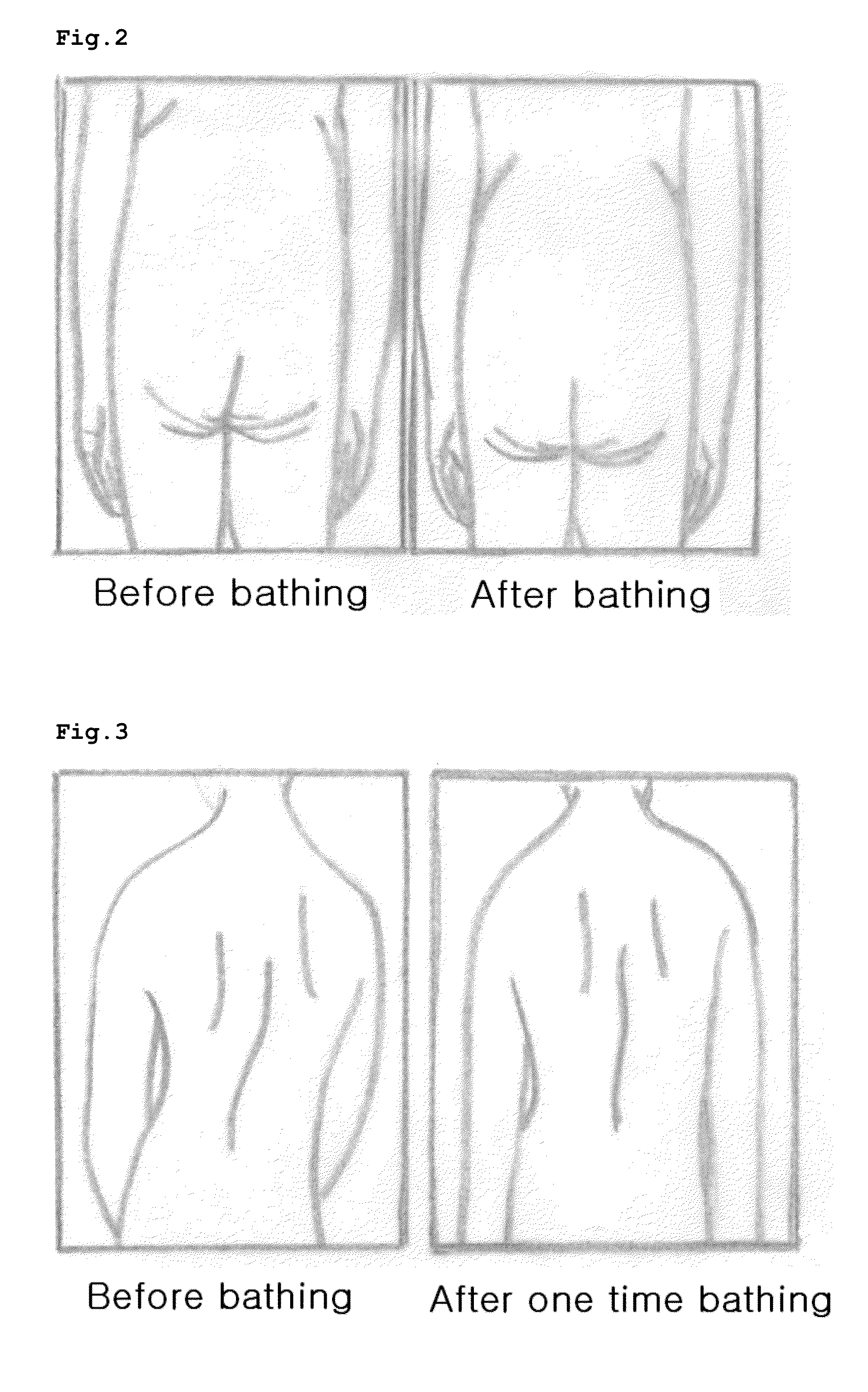 Bathing composition and method for preparing same