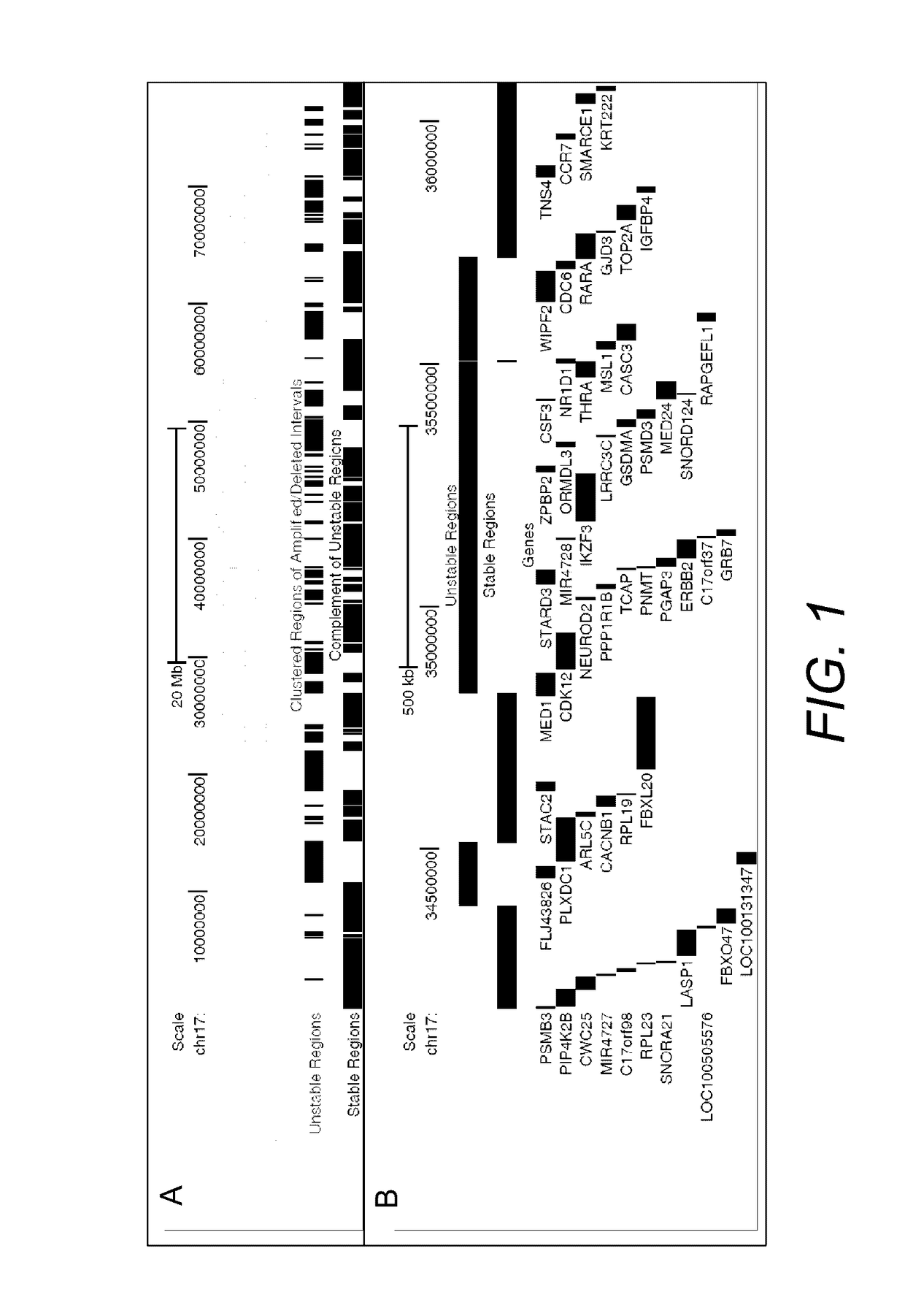 Stable gene targets in breast cancer and use thereof for optimizing therapy