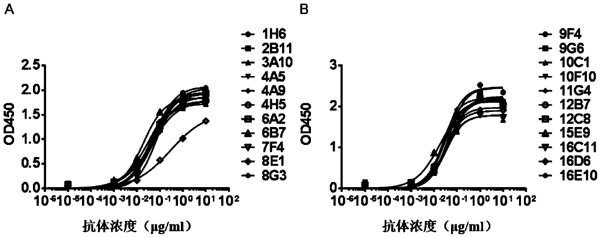 Antibody capable of binding tigit or antigen-binding fragment thereof and use thereof