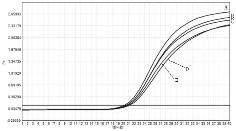 Nucleic acid composition for detecting African horse pestivirus and kit thereof