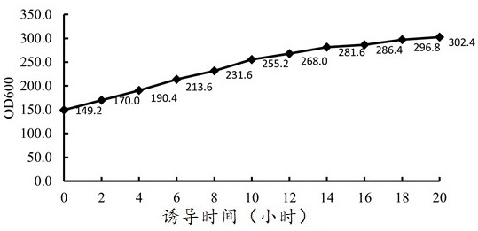 High-density fermentation method of recombinant EK enzyme engineering bacteria