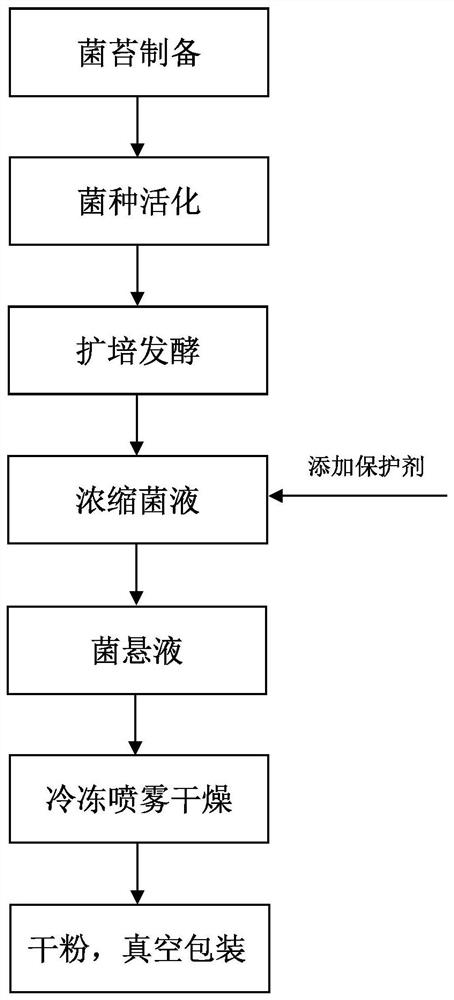 Microbial agent for extracting herbal fibers as well as preparation method and application of microbial agent