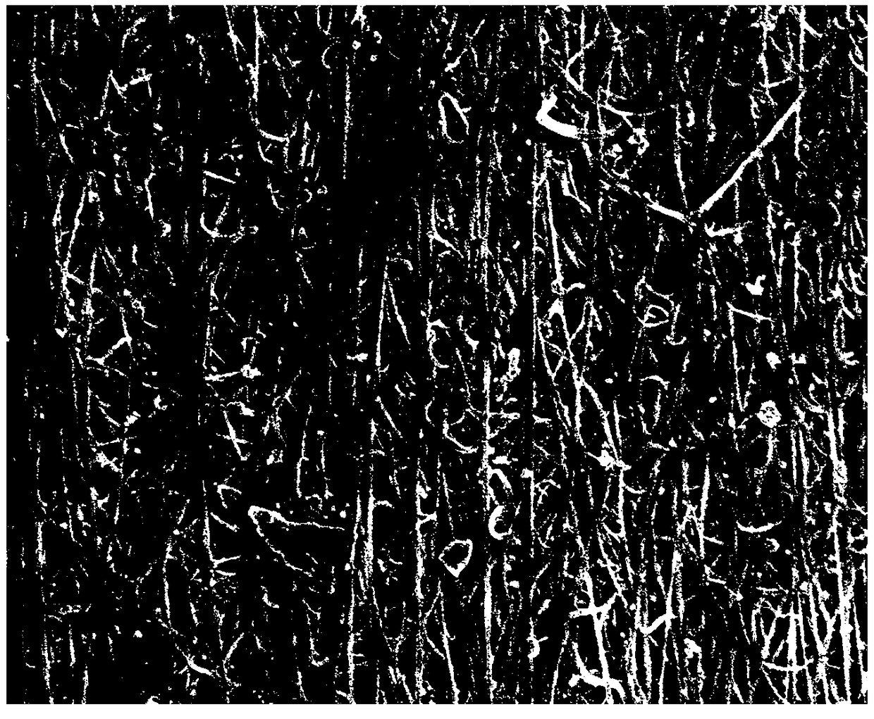 An isotropic strain monitoring method for composite materials based on carbon nanotube film