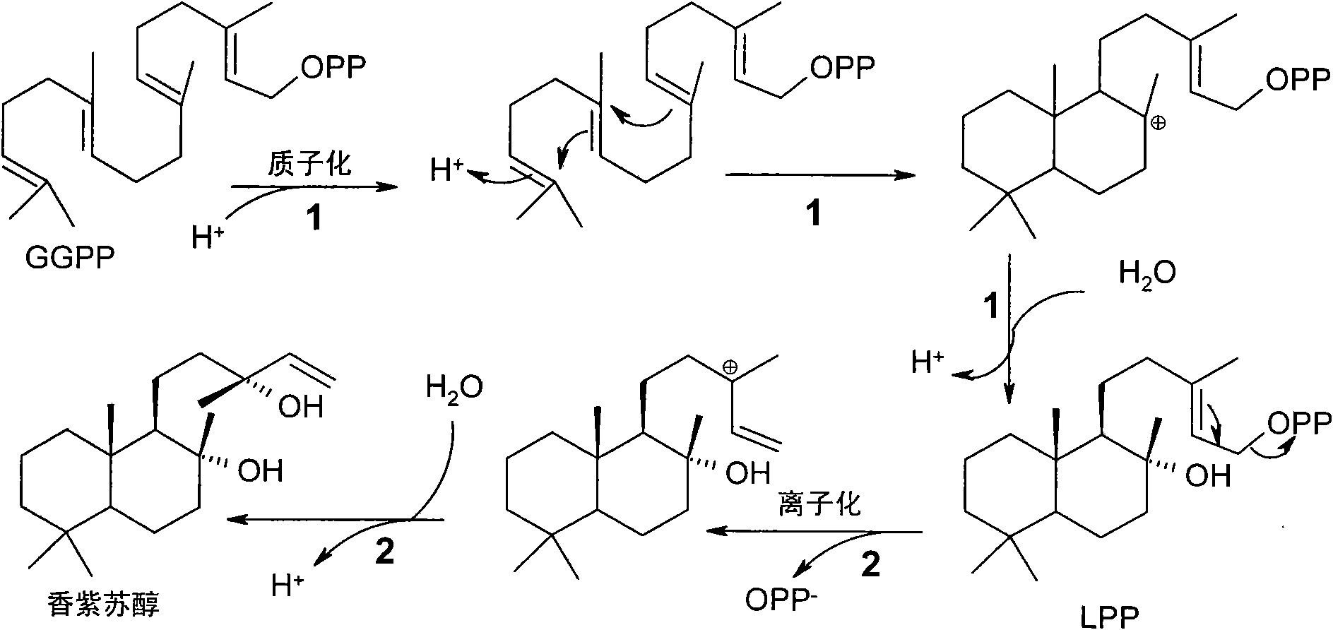 Method for producing sclareol