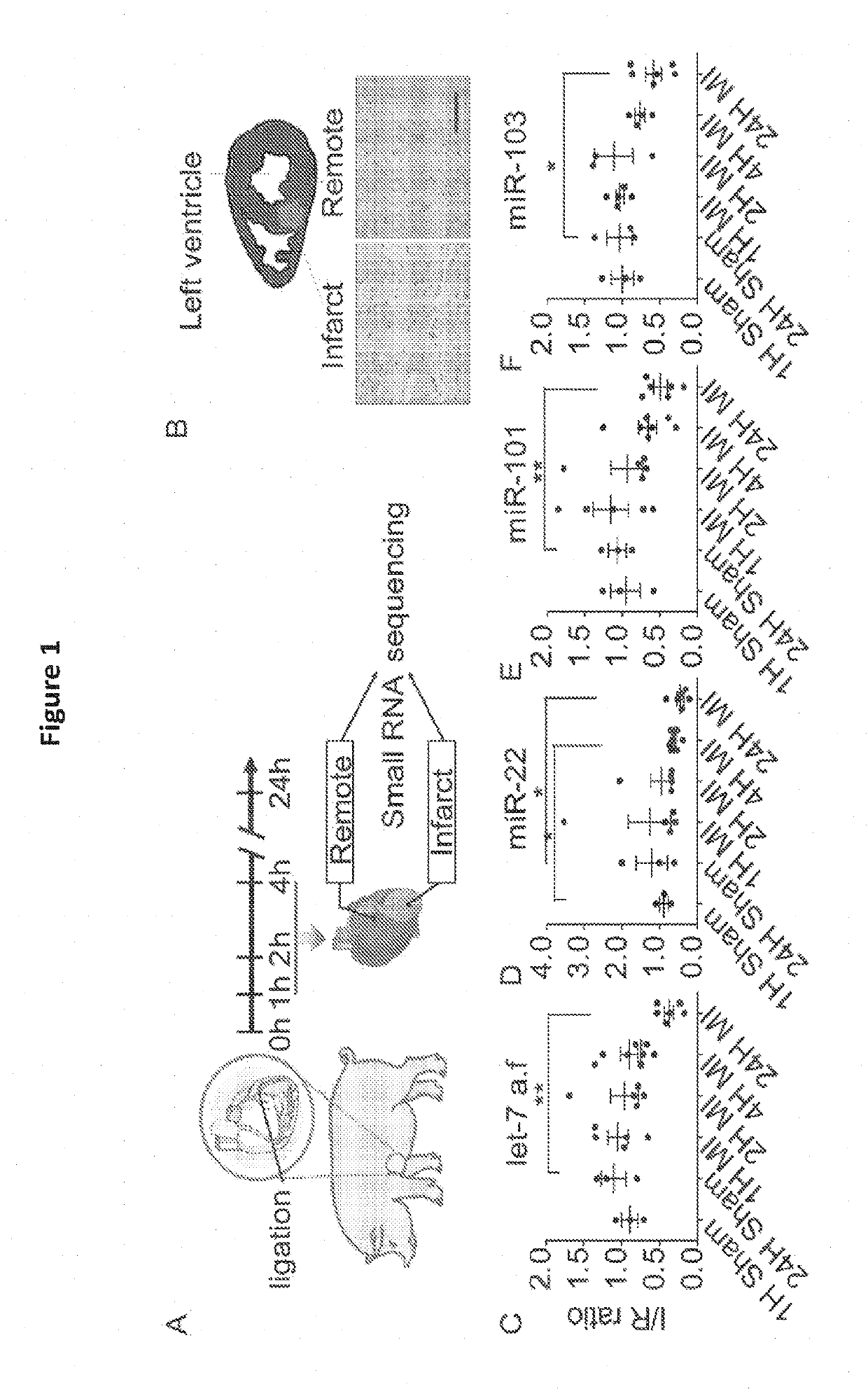 Microrna let-7 and transforming growth factor beta receptor iii axis as target for cardiac injuries