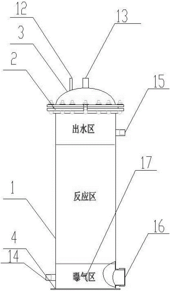 Electro-catalysis treatment device for seawater circulation culture system