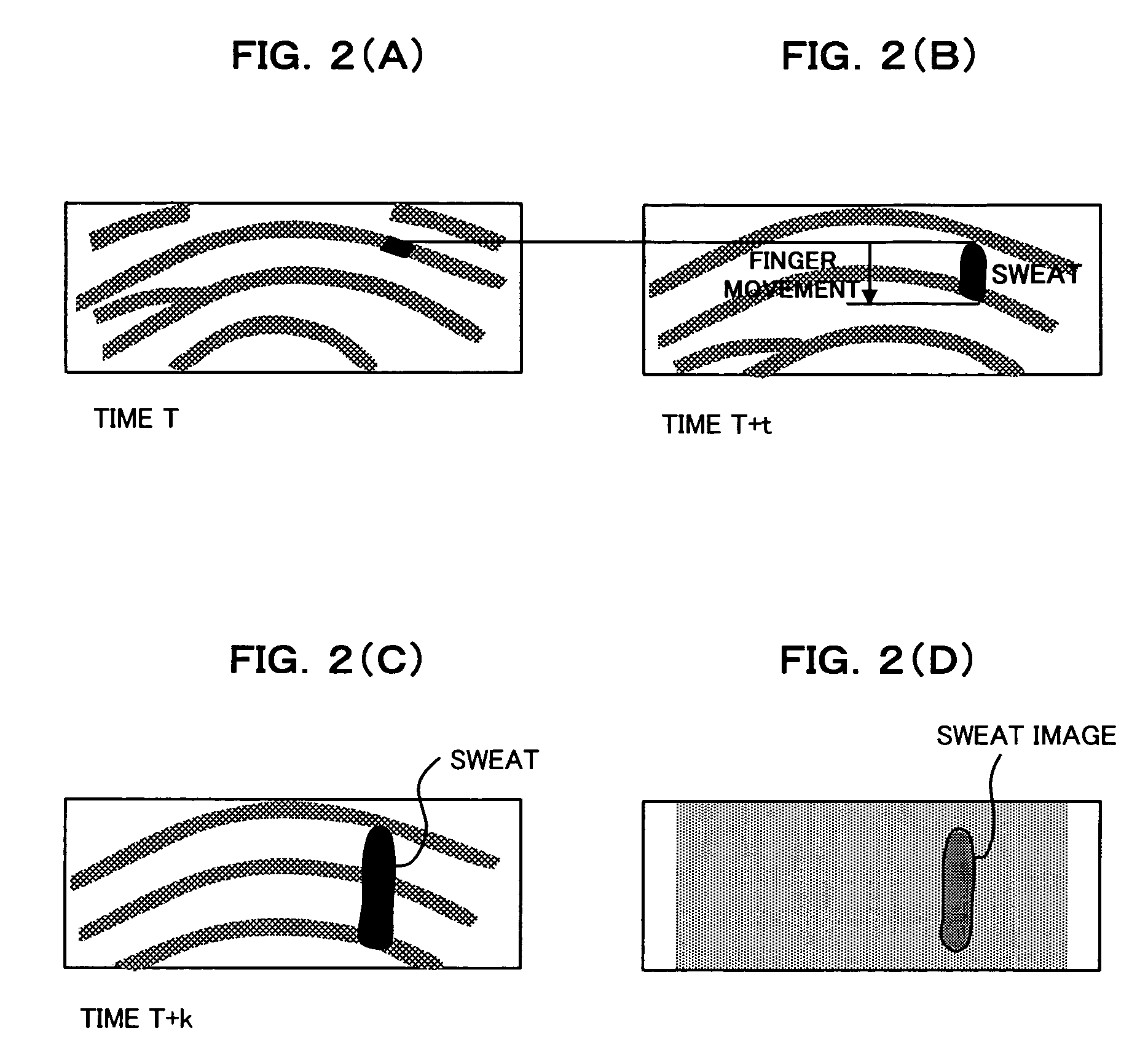 Living-body detecting apparatus and method, and authenticating apparatus having living-body detecting function