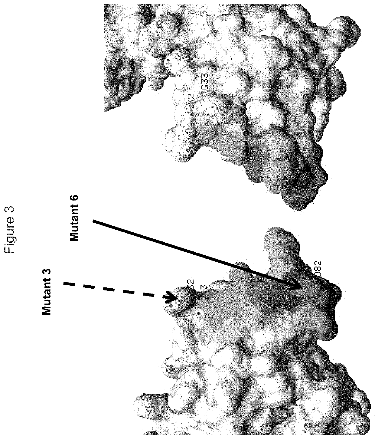 Kir3dl2 binding agents