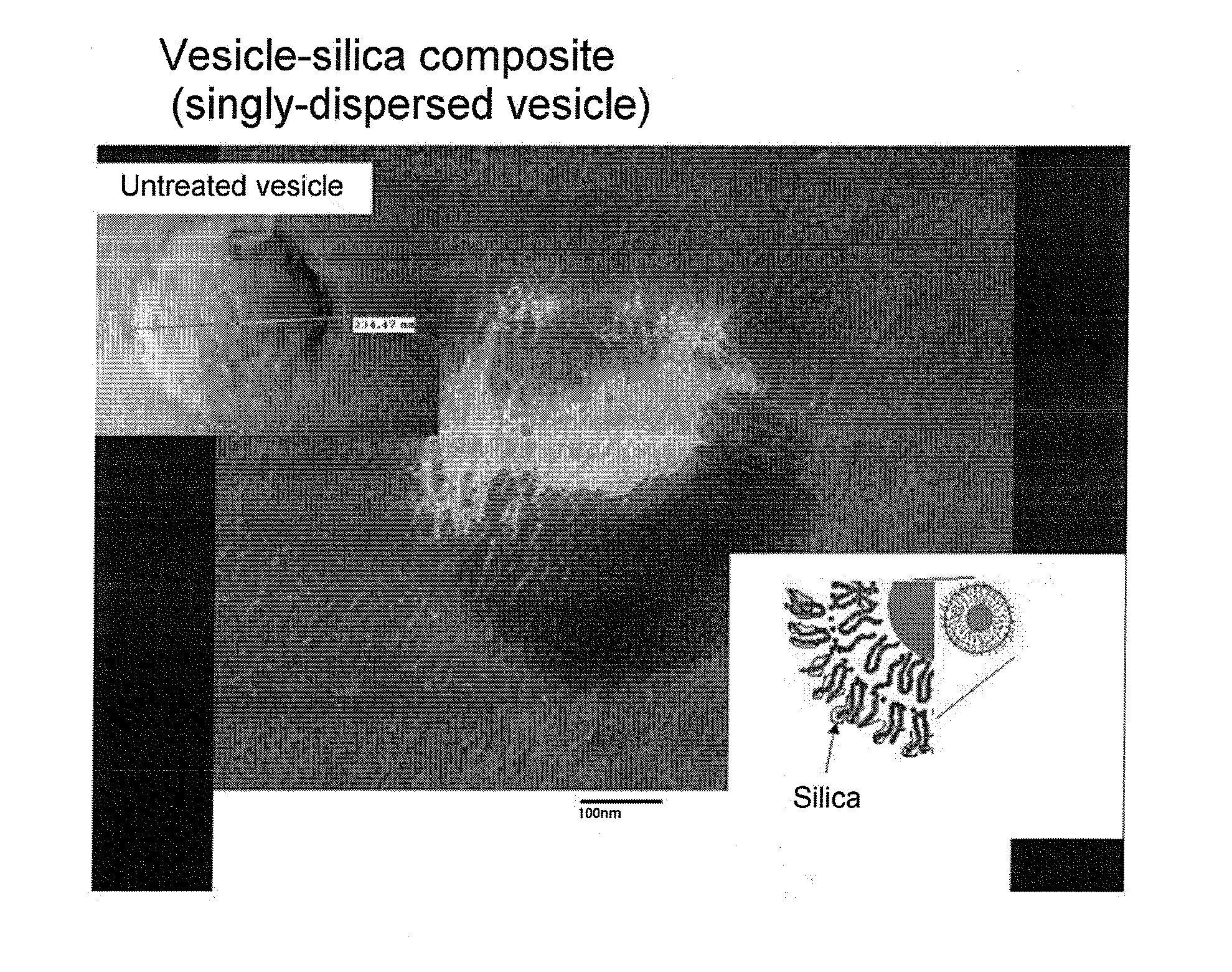 Composition Containing Vesicle-Silica Complex, And Process For Production Thereof
